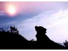 黄山奇石：天狗望月