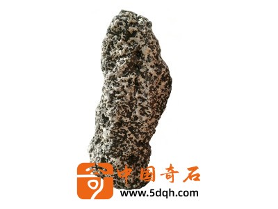 蓄势豹發图3