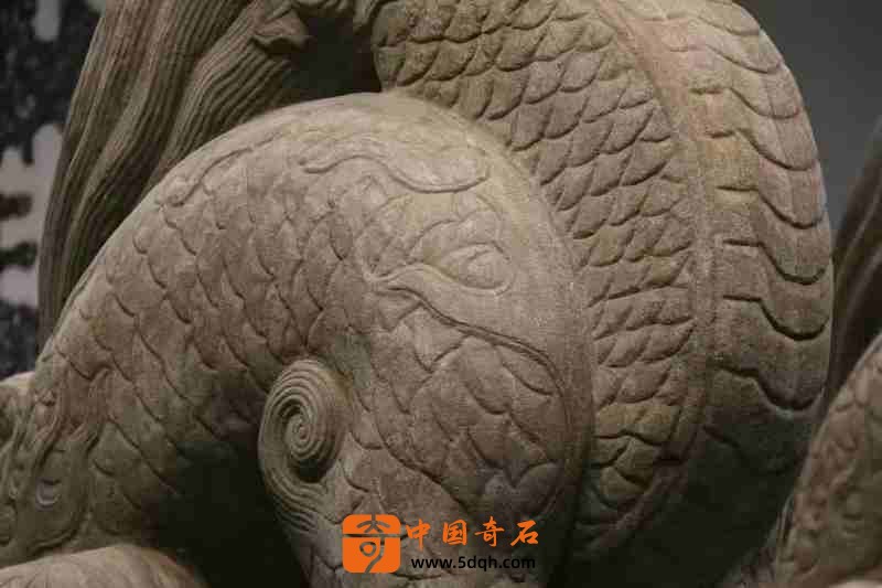 8_副本.jpg