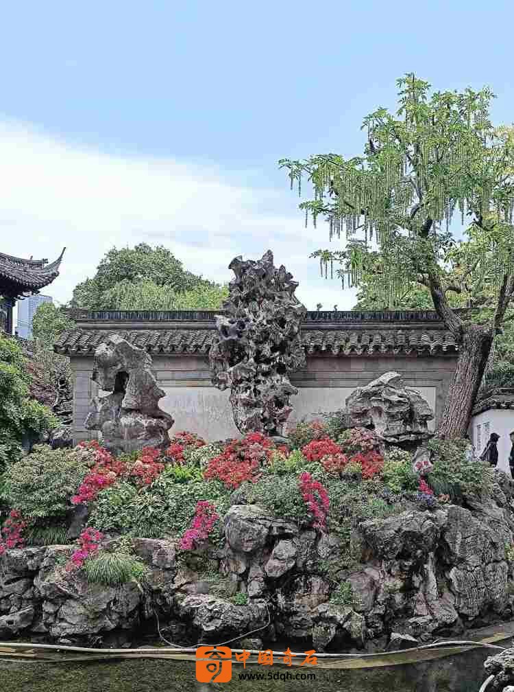 4_副本.jpg