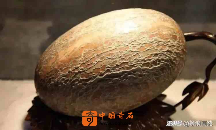 1_副本.jpg