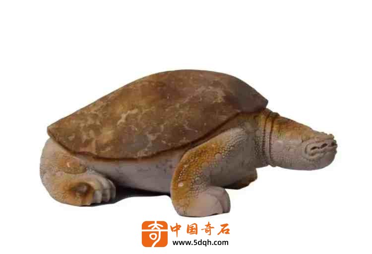 2_副本.jpg